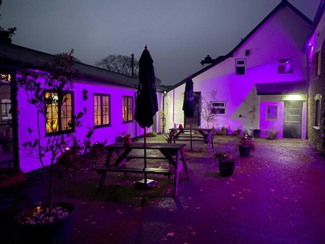 The Thelbridge Cross Inn Кредитон Экстерьер фото